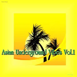 Asian Underground Vibes, Vol. 1