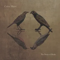 The Story of Birds