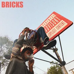 BRICKS