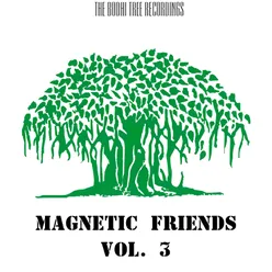 Magnetic Friends, Vol. 3