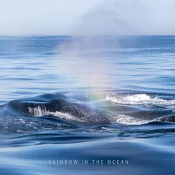 Rainbow in the Ocean