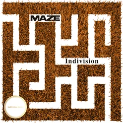 Maze