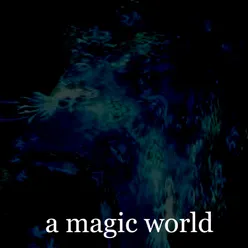 A Magic World