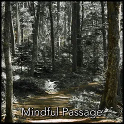Mindful Passage