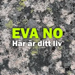 Här är ditt liv