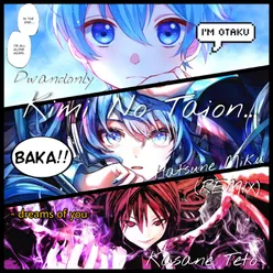 Kimi No Taion! (Your Heat!) (Vocaloid Otakus REMIX)