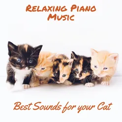 Music for Pets