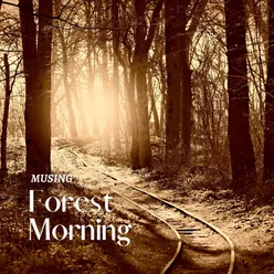 Forest Morning