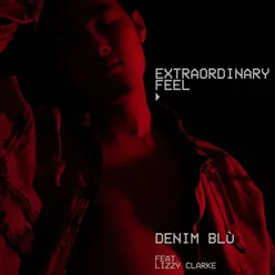 Extraordinary Feel