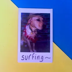 Surfing