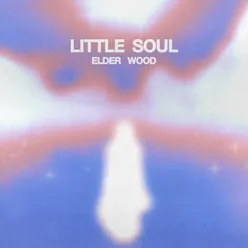 Little Soul