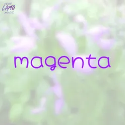 Magenta (lo-fi)
