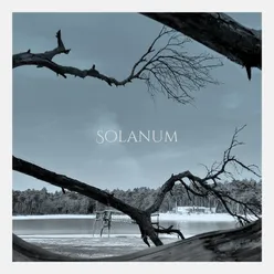 Solanum