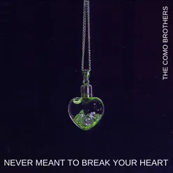 Never Meant to Break Your Heart