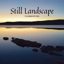 Still Landscape