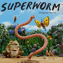 Crow Vs Superworm