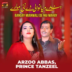 Banday Mianwali De Nai Maray - Single