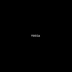 Yucca