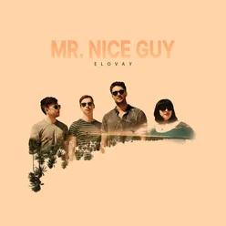 Mr. Nice Guy