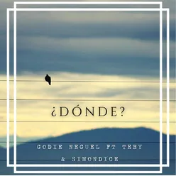 ¿Dónde?