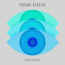 Into Focus