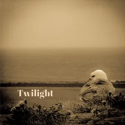 Twilight (Main Version)