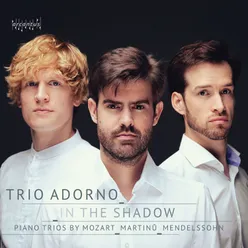 Piano Trio No. 3 in C Major: III. Allegro