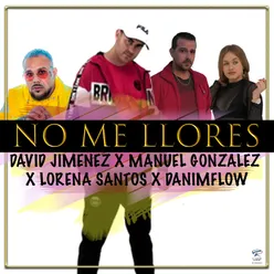 No Me Llores Remix