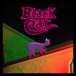 Black Cat