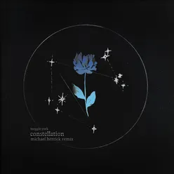 Constellation (Michael Herrick Remix)