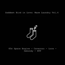 Saddest Bird in Love: Warm Laundry, Vol. 4