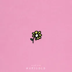 Marigold