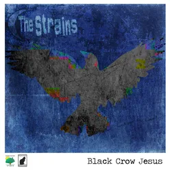 Black Crow Jesus