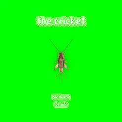 The Cricket