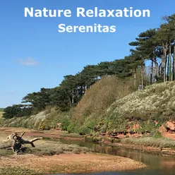 Nature Relaxation