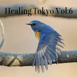 Healing Tokyo, Vol. 6 (Healing Tokyo Ver.)