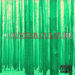 Counter Culture (Radio Edit)