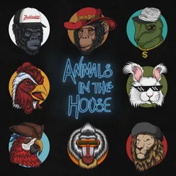 Animals in the House