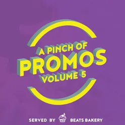 A Pinch of Promos, Vol. 5