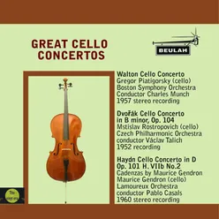 Cello Concerto in B Minor, Op. 104: 1. Allegro