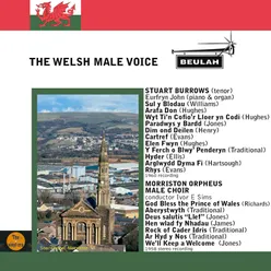 The Welsh Male Voice