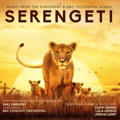 Serengeti Theme