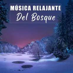 Música Relajante Del Bosque