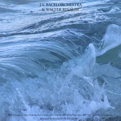 Bach - Jesu, Joy of Man's Desiring, (Jesus, Bleibet Meine Freude), Cantata - "Herz Und Mund Und Tat Und Leben", BWV 147: 10. Choral