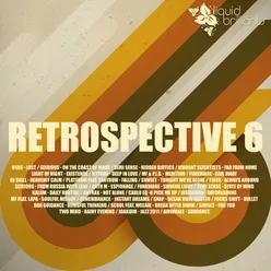 Retrospective 6