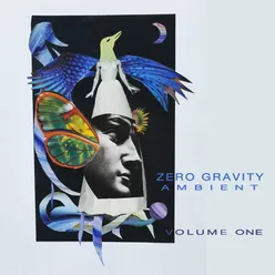 Zero Gravity Ambient: Vol. 1