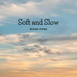 Soft and Slow