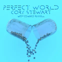 Perfect World (Blue Pill Edition)