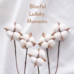 Blissful Lullaby Moments