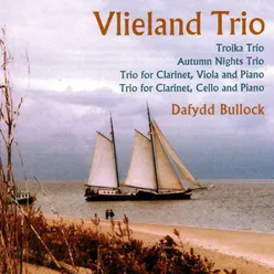 Trio For Clarinet, Cello & Piano, Opus 142 (IV)